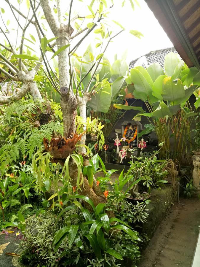 Krisda Ubud Guest House Zewnętrze zdjęcie